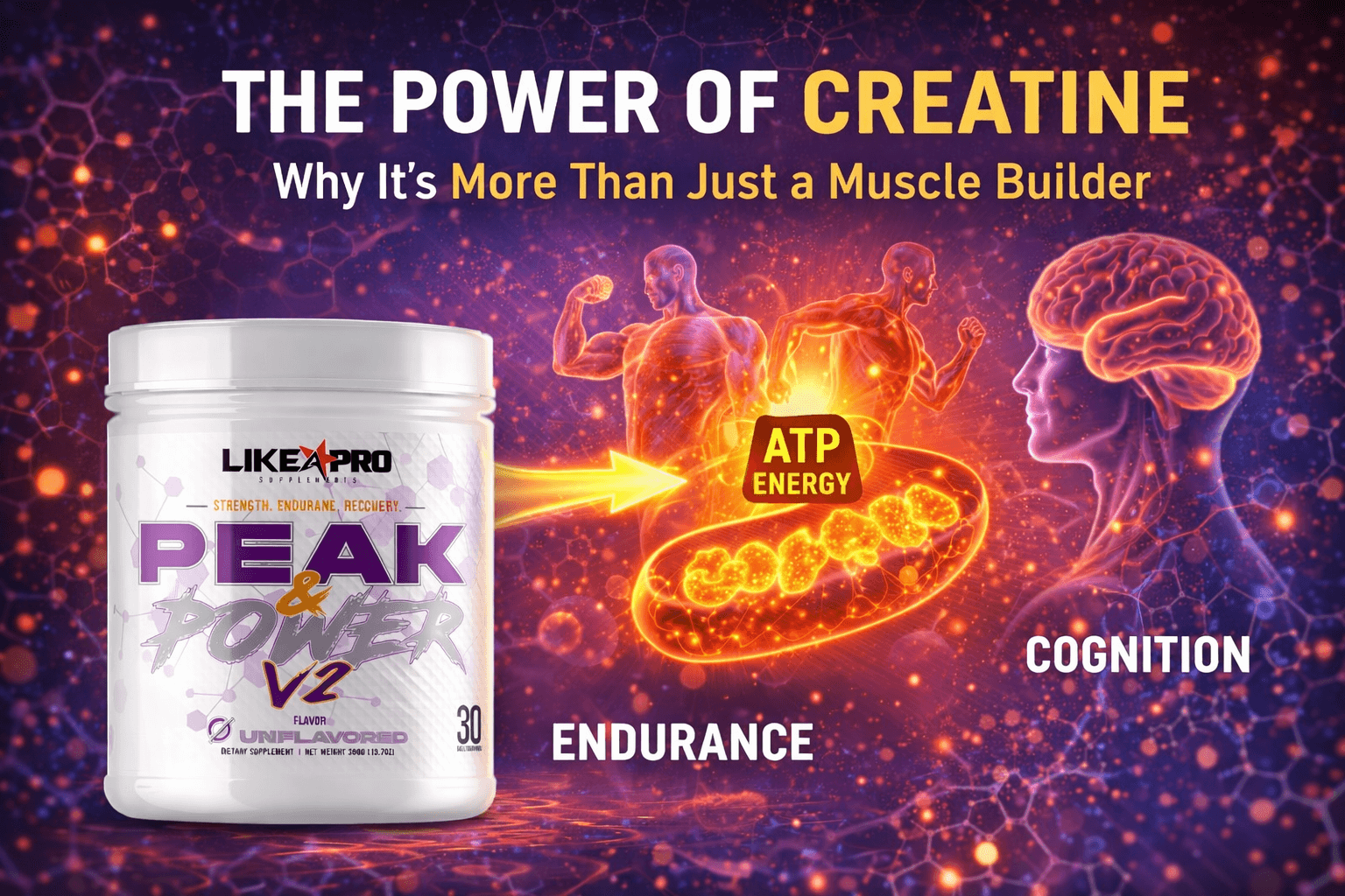 The Power of Creatine — Why It’s More Than Just a Muscle Builder