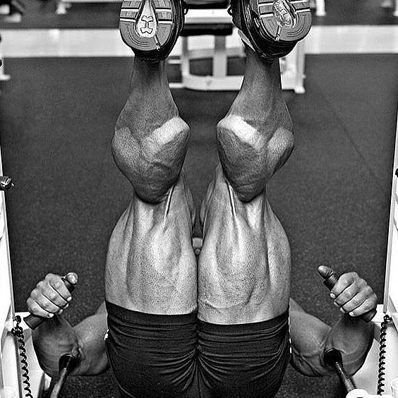 1,000 Reps for Legs!